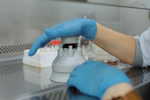 Comprendre le processus de vieillissement: un guide psychologique